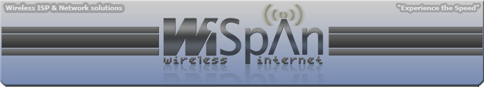 WiSpan Logo
